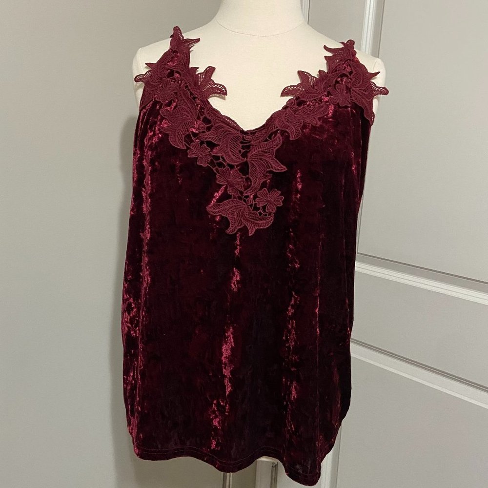 Amazon Burgundy Velvet Top